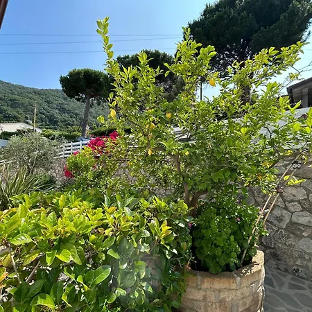 Hotel Sant'Andrea 3* SantʼAndrea