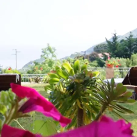 Hotel Sant'Andrea ホテル 3*