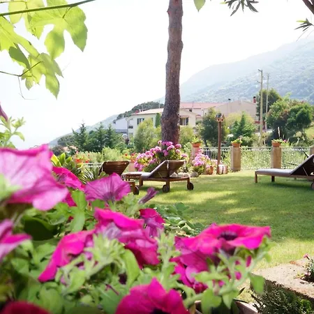 Hotel Sant'Andrea Sant'Andrea (Isola d'Elba)